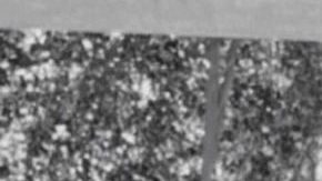 Photo: Instagram/ricky_martin