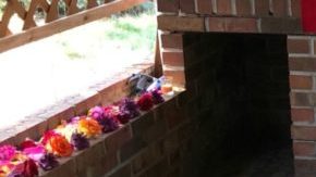 Photo: Courtesy of Lisa Martinez