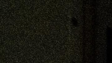 Photo: Unsplash/@elevatebeer