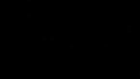 Photo: Unsplash/@mikepetrucci