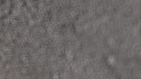 Photo: Unsplash/@coenico