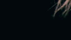 Photo: Unsplash/@sharonmccutcheon