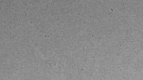 Photo: Twitter/Lesbrains