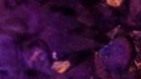 Photo courtesy Jackie