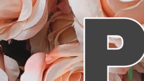 Art courtesy Johanna Ferreira