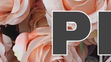 Art courtesy Johanna Ferreira