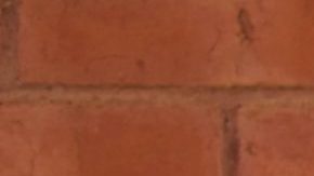 Photo: Unsplash/@esmy5515