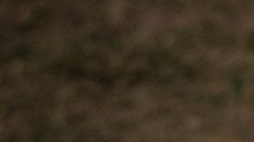 Photo: Unsplash/@eric23