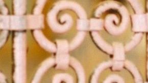 Photo: Unsplash/@good_citizen