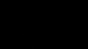 Photo: Unsplash/@felixmooneeram