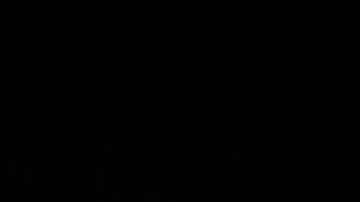 Photo: Unsplash/@felixmooneeram