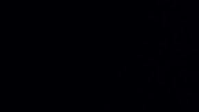 Photo: Unsplash/@dhamp15