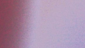 Photo: Unsplash/@sharonmccutcheon