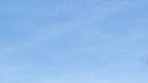 Strong feminist daughter