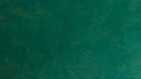 Latino Shows to Watch