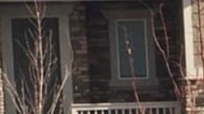 coronavirus social distancing