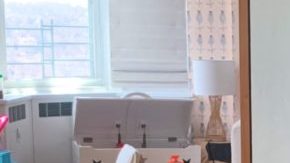 lin-manuel miranda homeschool