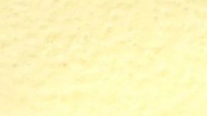 nail polish trends summer 2020