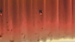 street vendors attacked