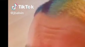 Photo: TikTok Universe