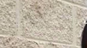 native american dead coronavirus