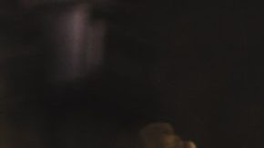 Immigrants in the US