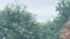 Wisconsin Teen Althea Bernstein