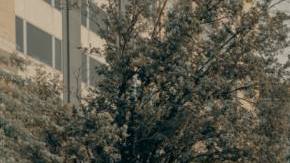 Photo: Unsplash/@claybanks