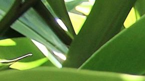 Photo: Unsplash/@jkellner