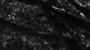 Photo: Unsplash/@koshuuu