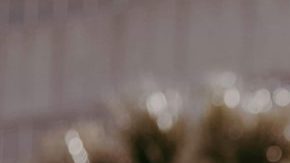 latino trump supporter selena statue