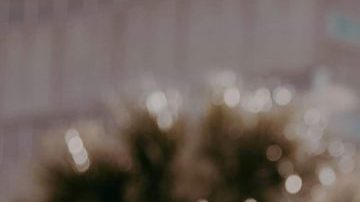 latino trump supporter selena statue