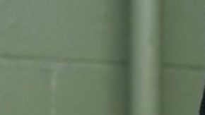 paletero attack denver