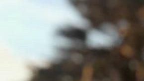 sean monterrosa killed