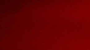 Photo: Unsplash/@sharonmccutcheon