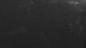 naya rivera death sister tribute