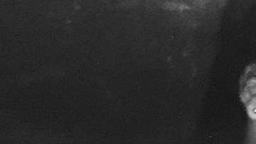 naya rivera death sister tribute