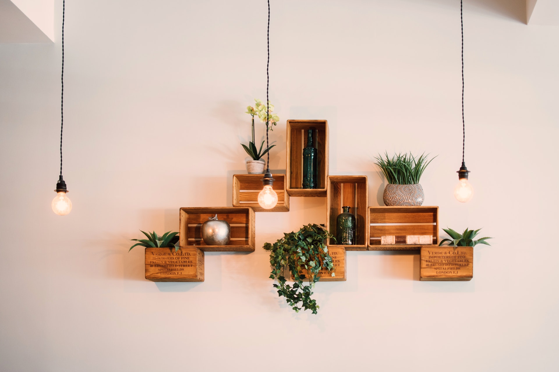 Plant hack  Home decor hooks, Diy home decor projects, Diy home decor easy