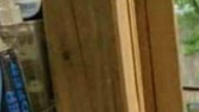 adelaido-bernabeurias