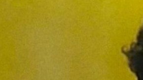 bad bunny supports biden