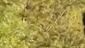 bad bunny uforia concert