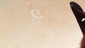 chiquis rivera gira en el campo