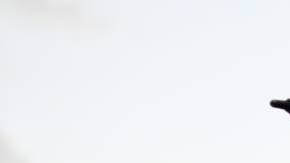 Dia de los Muertos Facepaint