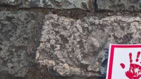 Femicides-LatinAmerica INTRO