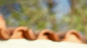 Christian Serratos Selena the Series