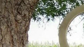 Leydy Pech Mayan Beekeeper