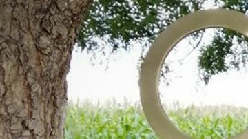 Leydy Pech Mayan Beekeeper