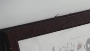 herbal rituals and limpias