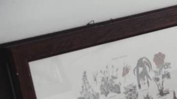 herbal rituals and limpias