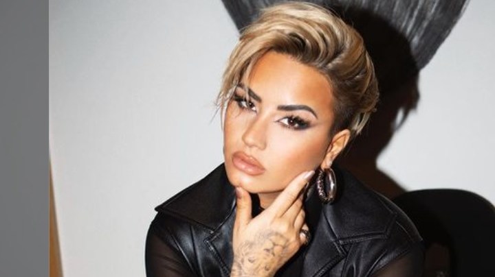 demi lovato hiplatina